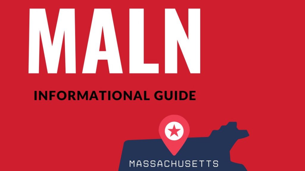 Democracy in MALN: Voter Access Across New England
